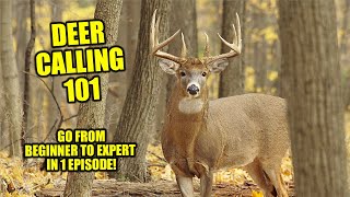 DEER CALLING 101  BUCK CALLS FOR HUNTING  DEER SOUNDS TO ATTRACT DEER [upl. by Retsub]