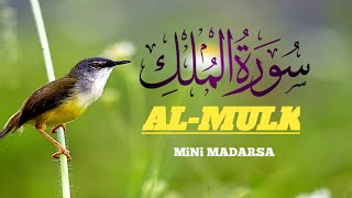 surah almulk tabarakal lajee quran recitation episode no21 mp3 [upl. by Oicnedif]