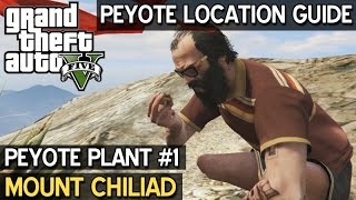 Peyote Location 1 • Mount Chiliad • GTA 5 PC [upl. by Kolnos]