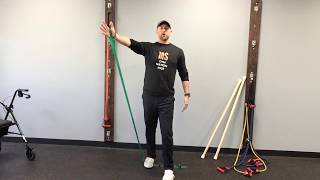 Exercise For MS Shoulder  Banded Single Arm Scaption [upl. by Semajwerdna306]