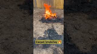 Carpet Underlay 🔥 [upl. by Dyraj]