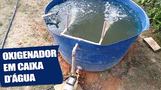 criação de peixe em caixa dágua  oxigenador caseiro [upl. by Lazaro]