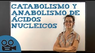 Catabolismo y anabolismo de ácidos nucleicos [upl. by Hobard]