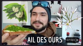 Lail des ours Cueillette Pesto et Dégustation [upl. by Naldo458]