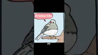 annoyed bird meme memes gachalife fufufafa [upl. by Saerdna]