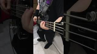 Blink182  All In My Head Bass Cover [upl. by Bennet]