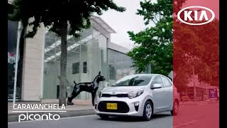 Picanto 2018 ft Caravanchela  Picanto  Kia Motors Colombia [upl. by Ormond]