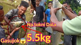 Natok na milsi pea mangsango Daldalako manjok😱Natokni dala 55gk [upl. by Selway466]