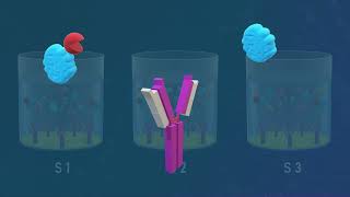 Competitive ELISA Test  Animated Video [upl. by Sadoc]