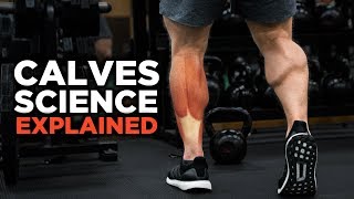 The Most Scientific Way to Train CALVES Science Explained [upl. by Yelkao]