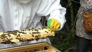 Manchester Bee Keeping Gorton Allotments [upl. by Barcroft]