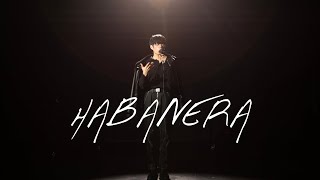 WING  Habanera Official Video [upl. by Enelehcim916]