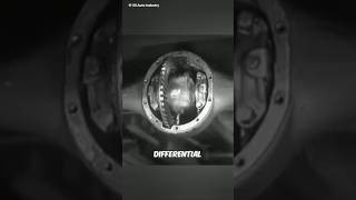 Differential System ⚙️ [upl. by Akcired313]