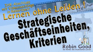 Strategische Geschäftseinheiten Kriterien [upl. by Dinse40]