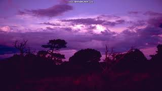 Carlsbad Caverns National Park Slideshow [upl. by North]