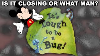 Whats The Deal With Its Tough to be a Bug [upl. by Selemas]