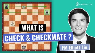 What is Check and Checkmate  Chess Fundamentals  FM Elliott Liu [upl. by Stutman]