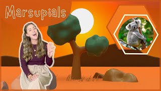 Marsupials  Fun Song for Kids  Koalas Kangaroos Wombats amp Possums  Educational Music for Kids [upl. by Melanie]