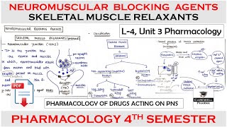 Neuromuscular Blocking Agents and Skeletal Muscle Relaxants  L4 U3  Pharmacology 4th semester [upl. by Jedidiah657]