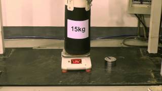 OHAUS Valor® 2000 Food Scale Shock Test EN [upl. by Yrekcaz]