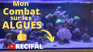 Comment Jai Battu Les Algues Indésirables Dans Mon Aquarium Récifal [upl. by Alberic]