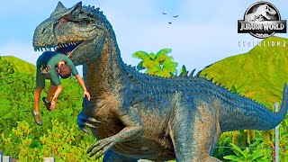 ALLOSAURUS vs CARNOTAURUS amp TREX Fighting and Human Hunting in Jurassic World Evolution 2 [upl. by Suired]