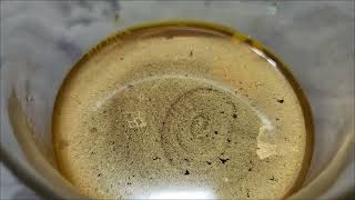 Dissolving gold with H202 gold recovery [upl. by Magnus415]