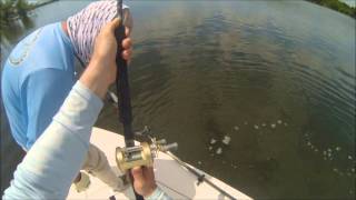 Fishing Shark River in the Florida Everglades 2013 [upl. by Asiole]