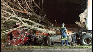 No injuries reported after tractortrailer slams into trees in Raleigh [upl. by Elolcin]