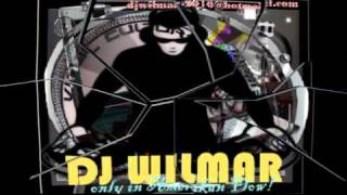 La Isla Bonita Mix DJ Wilmar amp DJ Bobby [upl. by Reddin]