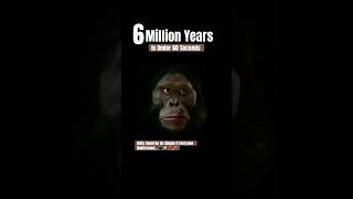 6 Million Years Of Evolution In Under 60 Seconds From Ape To Man Creationism [upl. by Ernie]