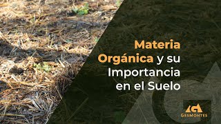 Materia Orgánica y su Importancia en el Suelo [upl. by Evelinn]