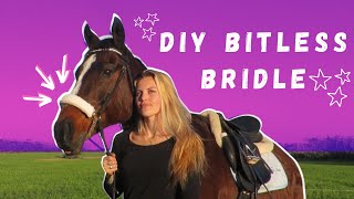 DIY Bitless Bridle Side Pull Attachment Tutorial [upl. by Kirsteni]