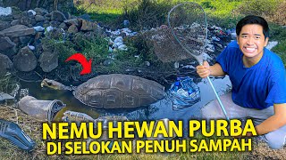 GAK SENGAJA NEMUIN HEWAN PURBA DI SELOKAN PENUH SAMPAH ANEH BANGET ADA HEWAN INI DISINI [upl. by Anigger]