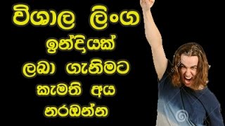 Vishala linga indriyak labaganimata narabanna  විශාල දිගැති ලිංගයක් මෙම පියවර අනුගමනය කරන්න [upl. by Mackenzie]