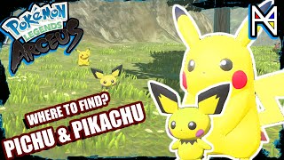 Pokemon Legends Arceus  Where to Find Pichu and Pikachu Obsidian Fieldlands [upl. by Greenwood]