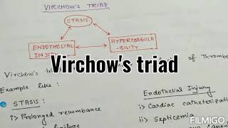 Virchows Triad  Revision seriesBasic sciences [upl. by Esinaj]