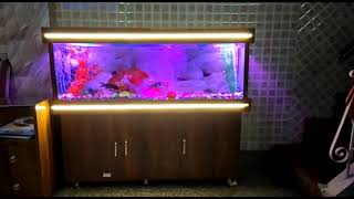 4ft aquarium setup  4ft Fish Tank  4ft Aquarium with Cabinet [upl. by Mason]