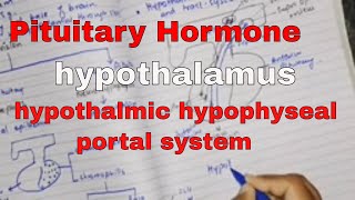 Pituitary hormone and their control by hypothalamus part 2 hypothalmic hypophyseal portal system [upl. by Olney]