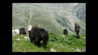 Yak Auftrieb mit Reinhold Messner 2013 [upl. by Corson]