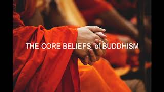 THE CORE BELIEFS OF BUDDHISM 【One Minute Buddhism】 [upl. by Ytrebil]