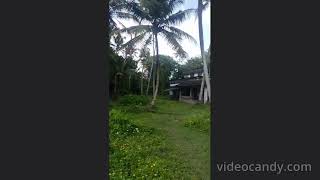 EDAPALLY  KOONAMAVU WATER FRONTAGE LAND FOR SALE [upl. by Garris]