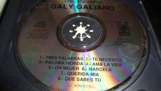 Galy Galiano  Te necesito 1993 [upl. by Mraz]