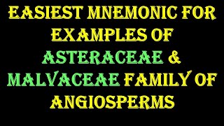 Mnemonic to Remember Examples of Asteraceae amp Malvaceae family of Angiosperm [upl. by Annahs458]