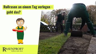 Rollrasen an einem Tag verlegen  geht das [upl. by Kcirdneked]