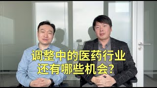 调整中的医药行业，有哪些机遇与挑战？ [upl. by Yehudi]