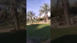 Qassim University Medical City Al Qassim KSA Beautiful Outside view qassim ksa saudiarabia [upl. by Llerahs]