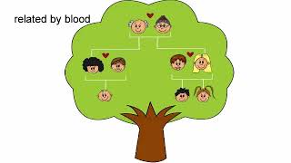 consanguinity meaning  Vocabulary for Kids  Childrens Dictionary  Learn English Vocabulary [upl. by Tteltrab]