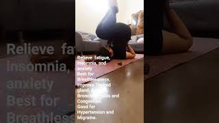 HalasanaBenefits Daily Yoga Routine Workout Fitness [upl. by Aveline]