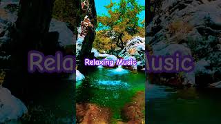 Relaxing Piano Music for Fast Relaxing and Deep Sleep  Meditation Music  Insomnia Relief Music [upl. by Mharba]